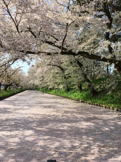 【青森】桜の弘前・津軽鉄道・新青森駅