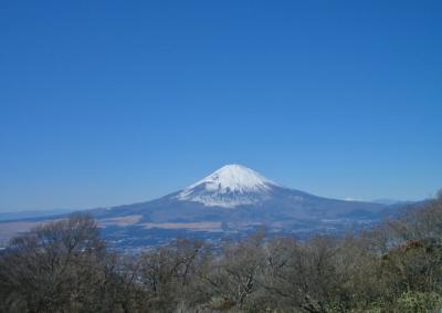 金時山から富士山を愛でる