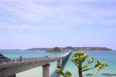 船２泊の山口県絶景めぐりツアー参加の旅