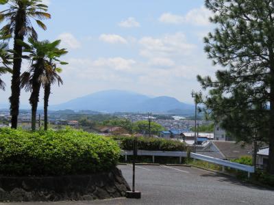 簡保平群北桜美会日帰り旅行