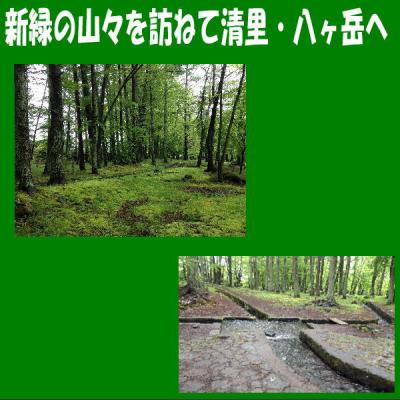 新緑の八ヶ岳山麓を訪ねて?