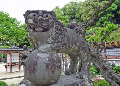 ユナイテッド特典航空券で1泊2日「羽田→沖縄→福岡→北海道」日本一周の旅