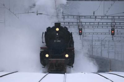 ドイツ発着スイス縦断SL列車を追いかけた