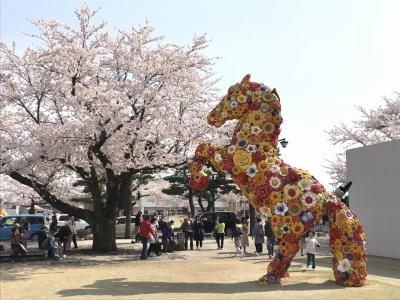 201804-04_十和田市内桜散策＆十和田市現代美術館