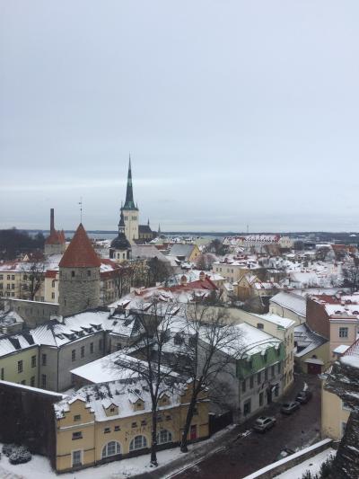 Day4 Estonia/Tallinn 