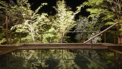 飛騨・富山・長野を周遊 (10-10) 幻想的な夜の露天風呂に感動