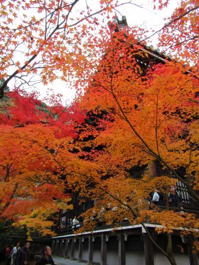 紅葉の京都4泊5日の旅　2017年11月