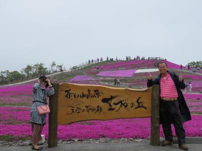 茶臼山　芝桜　２０１８年