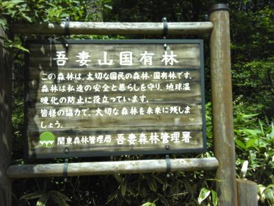 北軽で夏休み　吾妻山（あづまやま）