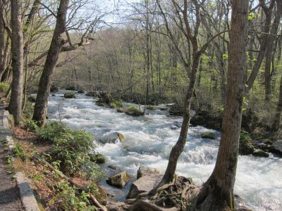 2018年GW東北旅行②弘前城桜・十和田湖・奥入瀬