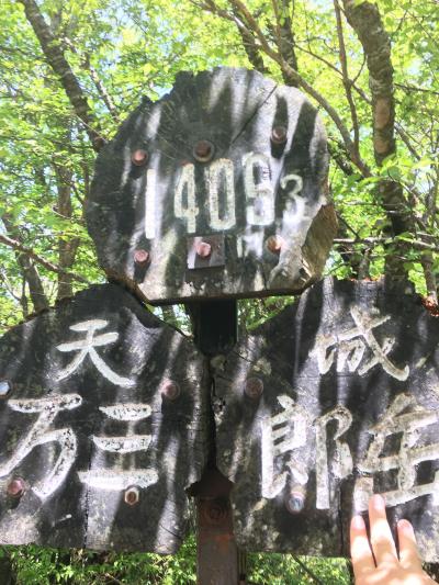 2018年05月　日本百名山４９座目となる、天城山（あまぎさん、1,406m）を登りました。