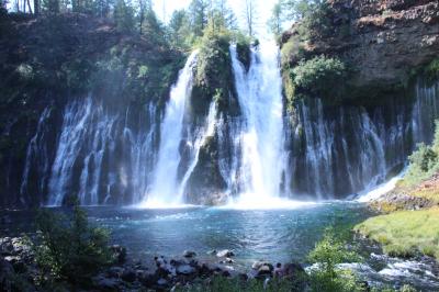 キャンプしに、はるばるオレゴン、カリフォルニア　Day１４-１（朝のMcArthur-Burney Falls Memorial State Park）