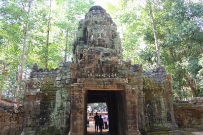 カンボジア旅行記（3）シェムリアップでタ・プローム、ロリュオス遺跡群へトゥクトゥク貸切で回る