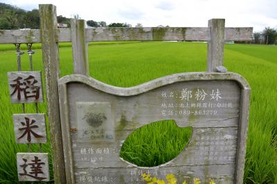 台湾が誇る「緑の楽園」池上(←ちじょう と読む）をサイクリングしてみた