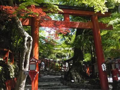 新緑の京都へ（鞍馬寺～貴船神社～三千院）