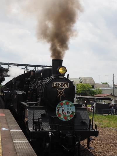 真岡鐡道のＳＬと益子の春の陶器市