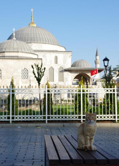 トランジット イン イスタンブール 猫のいるアヤソフィア博物館