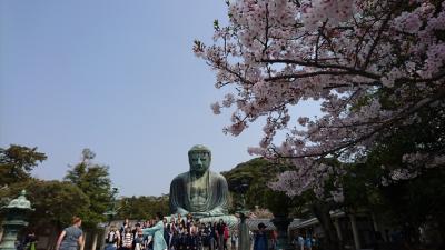 息子と日本旅行③江の島、鎌倉編