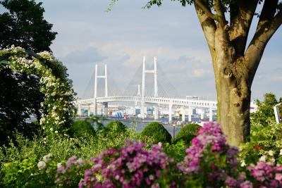 2018横浜＆鎌倉ふらり旅vol.1（横浜港の汽車道と氷川丸＆港の見える丘公園）