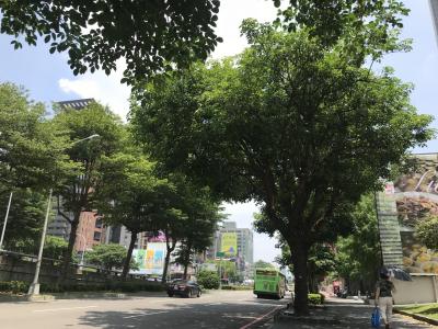 台中ぶらり 羽田空港からタイガーエア早朝便にて