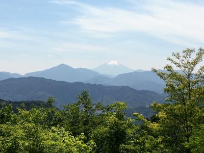 高尾山ハイキングと町田アイス