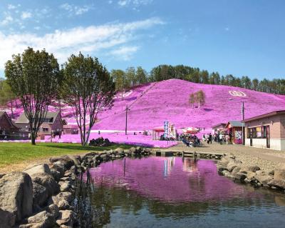 東藻琴芝桜公園に芝桜を見に行きました