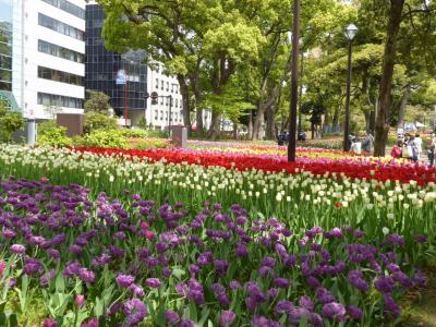 春の優雅な横浜♪　Vol.17　横浜公園♪