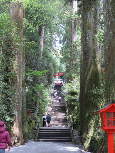 今年も箱根観光の旅を行う⑯箱根神社訪問