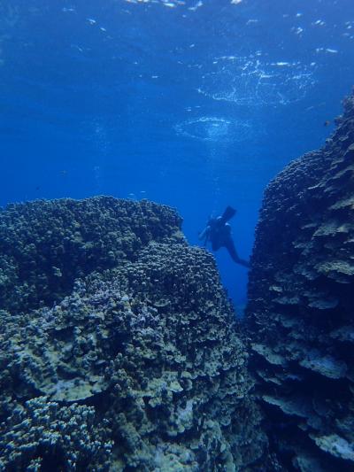 2018GWマジュロ編(マーシャル諸島)