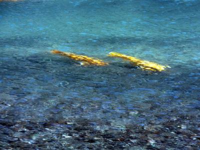 ０７．セルフ化されたエクシブ伊豆1泊　松川湖