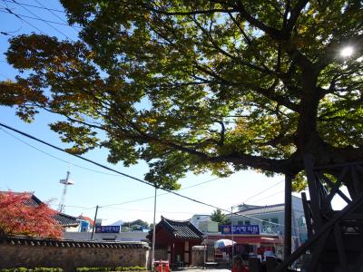 巨済島花の祭りと巨済面散策