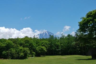 青木ヶ原樹海をガイドと歩く