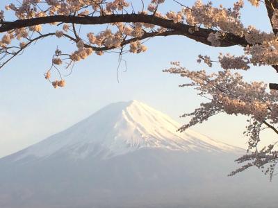 ボクを富士山に連れてって