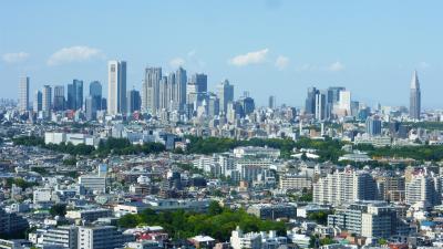 ANAの旅作利用で行く、東京２泊３日の旅【東急世田谷線乗車と、スカイキャロット展望ロビーからの眺望編】