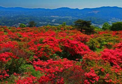 高柴山登山とあぶくま洞見学