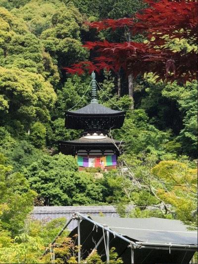 永観堂 禅林寺