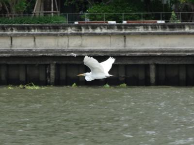 バンコクの静かな休日(2) ノンタブリー博物館