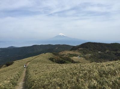 伊豆半島から富士山を眺めよう！達磨山登山と戸田港で温泉と海の幸