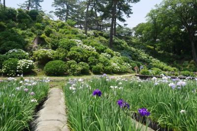 箱根 小田原 湯河原旅行