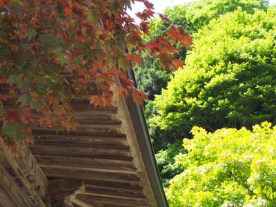 雨降山　大山寺　大迫力の不動明王さま!　御開帳の日。この静けさがたまらない!!!