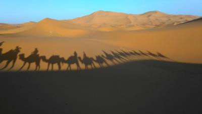 2018.05  モロッコ周遊～マラケシュ、フェス、砂漠～