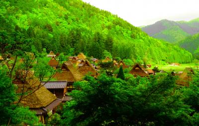 ☆癒し時々抹茶の旅　森の京都編☆