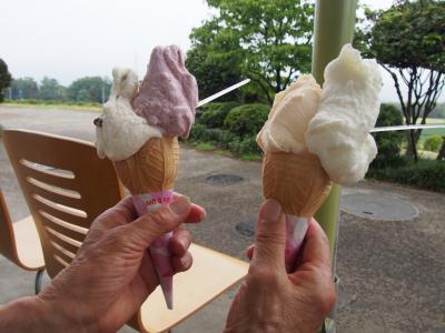 【 群馬便り vol.4 】少林山達磨寺のついでに寄れるおすすめスポット 希望の丘農園と鼻高展望花の丘と長坂牧場みるく工房タンポポ