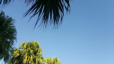 沖縄癒しの旅日記