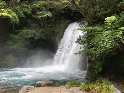 夫の両親・伯母と一緒に伊豆へ①【下田・河津七滝・浄蓮の滝】