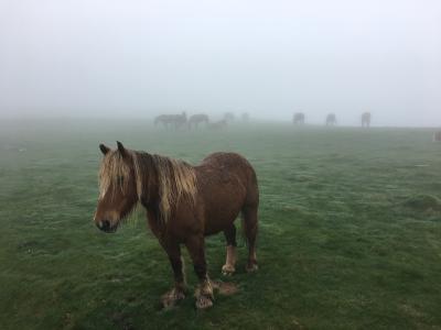 2018サンティアゴ巡礼6年目 2日目 国境を超えた