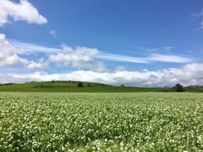 2018サンティアゴ巡礼6年目 7日目 ワインの泉でひとやすみ