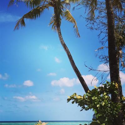 グアム 食べ歩き に関する旅行記 ブログ フォートラベル グアム Guam