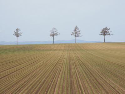 ぐるっと北海道周遊その３　斜里・知床峠越え