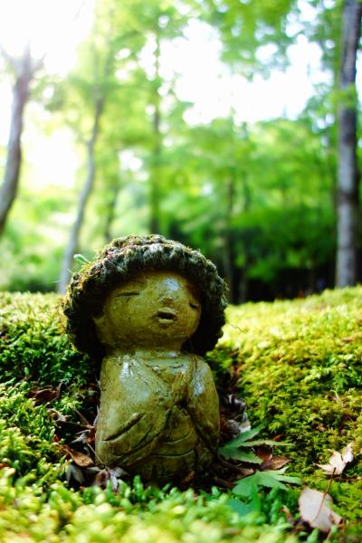 ☆癒し時々抹茶の旅 大原編☆